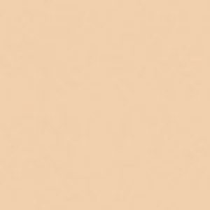 SANDERSON PAINT VICTORY TAN  81